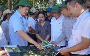 Quảng Trị đốc thúc giải phóng mặt bằng dự án cao tốc Vạn Ninh-Cam Lộ