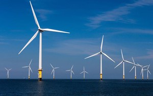 Dự án điện gió ngoài khơi cần áp dụng cơ chế, chính sách đặc thù
