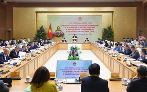 Tập trung nghiên cứu các giải pháp trọng tâm, thúc đẩy mạnh mẽ đầu tư phát triển 19 tập đoàn, tổng công ty