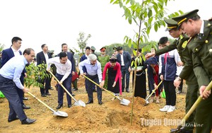 Chủ tịch nước Võ Văn Thưởng phát động Tết trồng cây 'Đời đời nhớ ơn Bác Hồ' Xuân Giáp Thìn 2024 tại Tuyên Quang