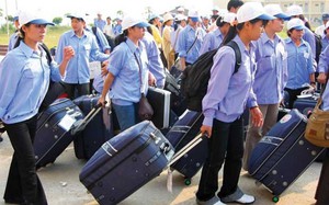 Đơn giản hóa TTHC về đánh giá kỹ năng nghề và đưa lao động Việt Nam đi làm việc ở nước ngoài