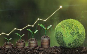 Trái phiếu xanh - động lực tăng trưởng bền vững