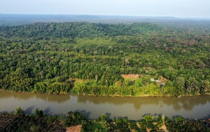 Đẩy nhanh giao 3,3 triệu ha đất rừng cho người dân
