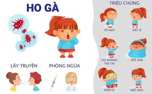 Chủ động phòng bệnh ho gà khi thời tiết gió lạnh, mưa ẩm