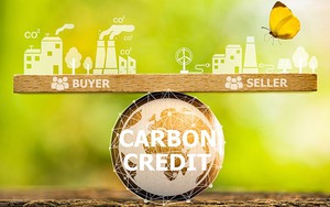 Tín hiệu tích cực trong việc thương mại hoá tín chỉ carbon của Việt Nam