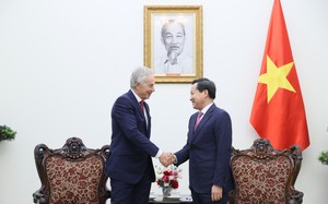 Phó Thủ tướng Lê Minh Khái tiếp cựu Thủ tướng Anh, Chủ tịch Viện TBI Tony Blair