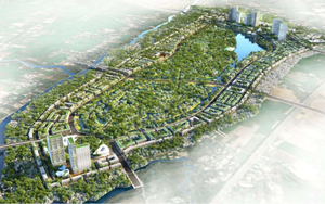 Chấp thuận tỉnh Long An chuyển mục đích sử dụng đất để thực hiện dự án khu đô thị