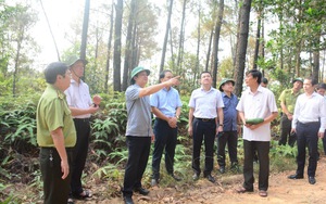 Thừa Thiên Huế: Kiểm soát chặt chẽ người ra vào khu vực rừng có nguy cơ cháy rừng cao