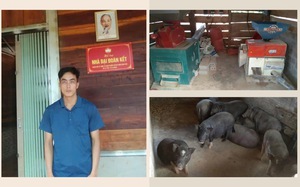 Những lá đơn mang tên “tự trọng và khát vọng” ở vùng biên