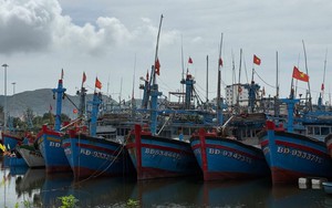 Đắk Lắk, Gia Lai lập Sở chỉ huy tiền phương ứng phó bão số 13