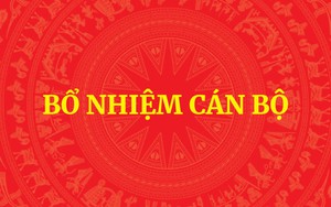 Thủ tướng bổ nhiệm ông Phạm Mạnh Cường giữ chức Phó Chủ nhiệm Văn phòng Chính phủ