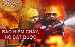 Infographics: Chế độ cho người tham gia công tác phòng cháy, chữa cháy, cứu nạn, cứu hộ
- Ảnh 3. Danh mục 44 cơ sở phải mua bảo hiểm cháy, nổ bắt buộc