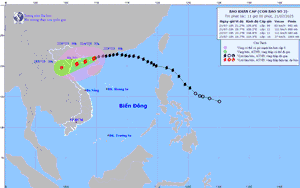 Infographics: Phân loại bão theo tốc độ gió và mức độ ảnh hưởng- Ảnh 8. Dự báo bão số 3 vào vịnh Bắc Bộ tối 21/7