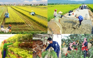 Chương trình MTQG vùng dân tộc thiểu số và miền núi: Hoàn thiện pháp lý, tăng tốc giải ngân