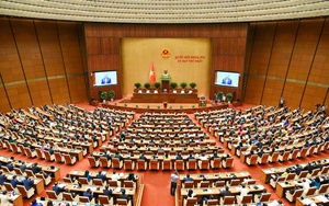 Quốc hội tiến hành công tác nhân sự, bầu Chủ tịch Quốc hội