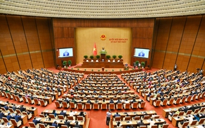 Quốc hội tiến hành bầu Chủ tịch nước, Thủ tướng Chính phủ