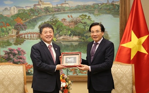 Chuẩn bị những điều kiện tốt nhất cho thúc đẩy hợp tác Việt Nam - Nhật Bản