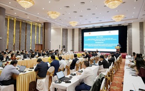 Nâng cao năng lực tham mưu, phục vụ chỉ đạo, điều hành của Chính phủ trên môi trường điện tử