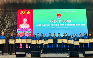 Phát huy vai trò sáng tạo của tuổi trẻ thanh niên Chính phủ