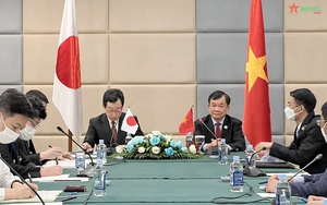 越南与日本国防部副部长举行双边会晤