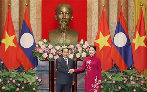 越南国家副主席武氏映春与老挝国家副主席本通·吉玛尼举行会谈