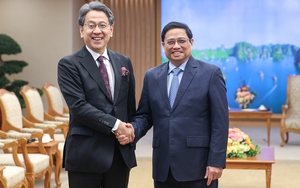 建议日本协助越南发展能源转型工业发展