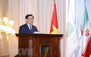 越南国会主席王廷惠：越南与伊朗合作促进和平与发展