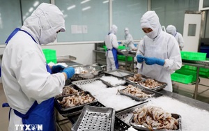 美国是越南今年前4个月最大出口市场