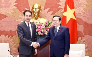 国会主席陈青敏会见中国驻越大使何炜