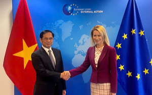 欧委会预计于11月派遣检查代表团赴越南对越南打击IUU捕捞进行实际评估