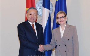 越共中央总书记苏林会见芬兰议会第一副议长保拉·里西科