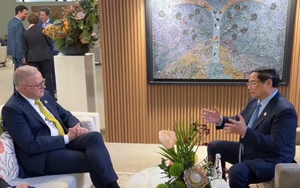 越南政府总理范明政会见澳大利亚总理安东尼·阿尔巴尼斯