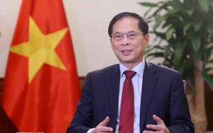 将科技合作与创新打造成越韩关系新支柱