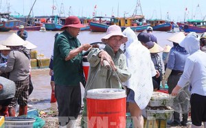 解除IUU“黄牌”：宁平省严厉处理“三无”渔船