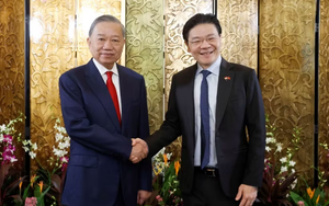 越共中央总书记、国家主席苏林同新加坡总理黄循财举行会谈