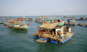 Khai thác tiềm năng nuôi biển theo hướng bền vững