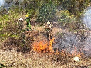Các tỉnh miền Trung tăng cường các biện pháp phòng chống cháy rừng 