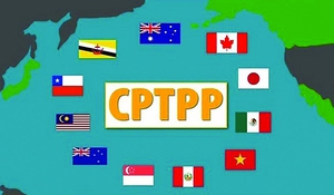Việt Nam sẵn sàng chia sẻ kinh nghiệm với Trung Quốc về tham gia Hiệp định CPTPP