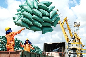 Xuất khẩu gạo: Giảm khối lượng nhưng tăng giá