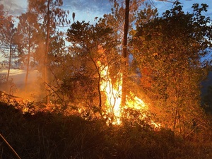 Cháy rừng tại Thừa Thiên Huế đe dọa an toàn vận hành đường dây 500kV Bắc – Nam