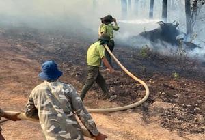 Tăng cường các biện pháp cấp bách phòng cháy rừng