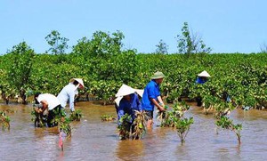 Sơ kết NQ120 về phát triển bền vững Đồng bằng sông Cửu Long