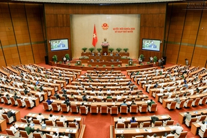 Phê duyệt quy hoạch đất lúa với 3,8 triệu ha