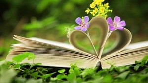 Tư duy quyền tác giả: Vẫn còn ‘hồn nhiên’