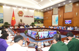 Quản lý chặt việc chuyển mục đích sử dụng rừng tự nhiên