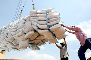Gạo xuất khẩu tăng cả về lượng và giá