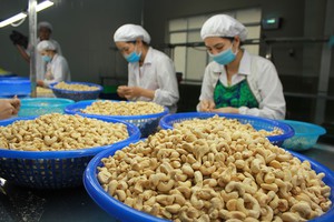 Cơ hội cho hàng hóa Việt Nam xuất khẩu sang Peru