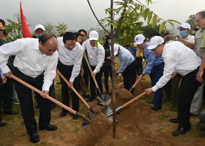 Chùm ảnh: Thủ tướng dự Lễ hưởng ứng chương trình trồng 1 tỷ cây xanh