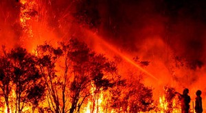 CÔNG ĐIỆN: Tăng cường các biện pháp cấp bách phòng cháy, chữa cháy rừng