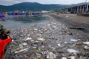 Phát triển các biện pháp dựa trên tri thức để chống ô nhiễm nhựa tại Đà Nẵng